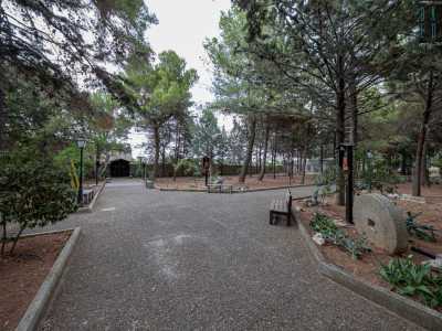 Attraversato un lungo corridoio giungiamo poi nel giardino del convento